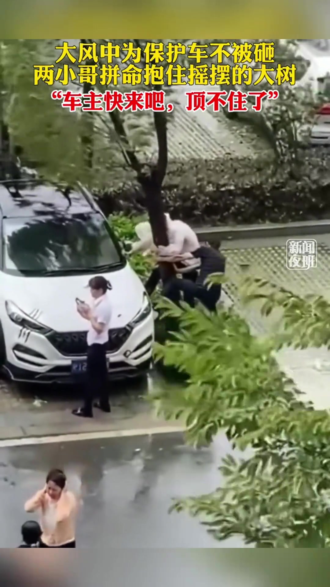 为了保护车不被砸，这俩兄弟拼命抱住快倒的大树
