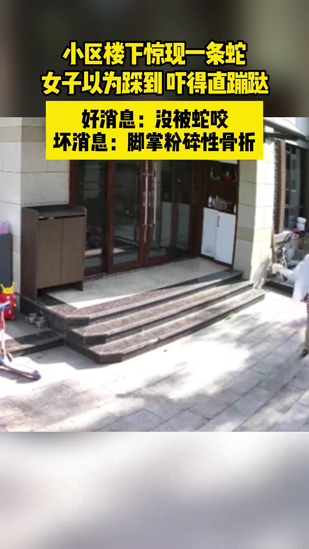 好消息：没被蛇咬 坏消息：脚掌粉碎性骨折