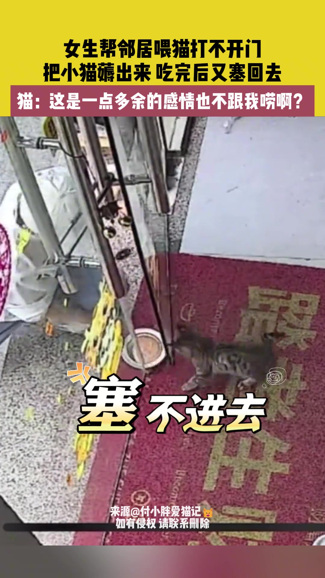 女生帮邻居喂猫打不开门 把小猫薅出来吃完后又塞回去