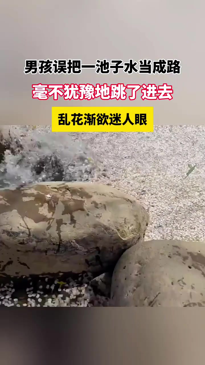 我一时间都没看出来那个居然不是路