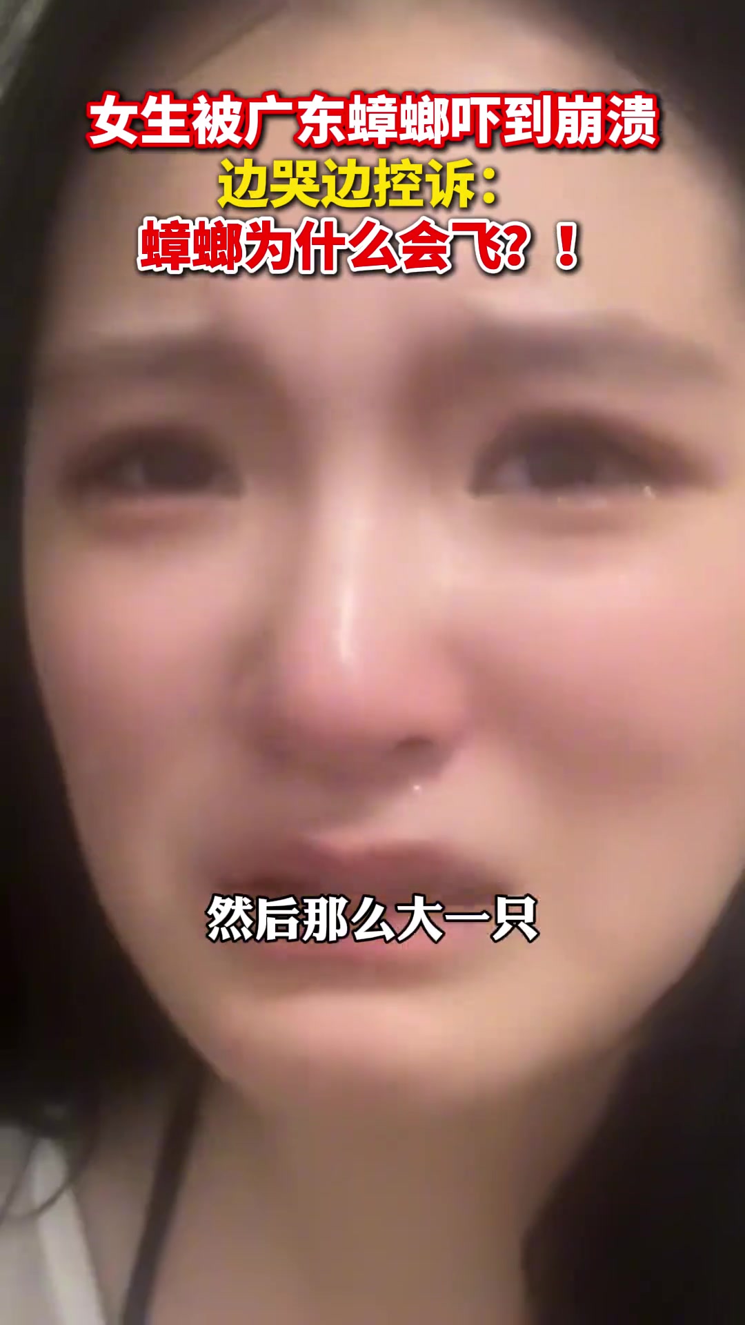 女生被广东蟑螂吓到崩溃 边哭边控诉：为啥蟑螂会飞啊