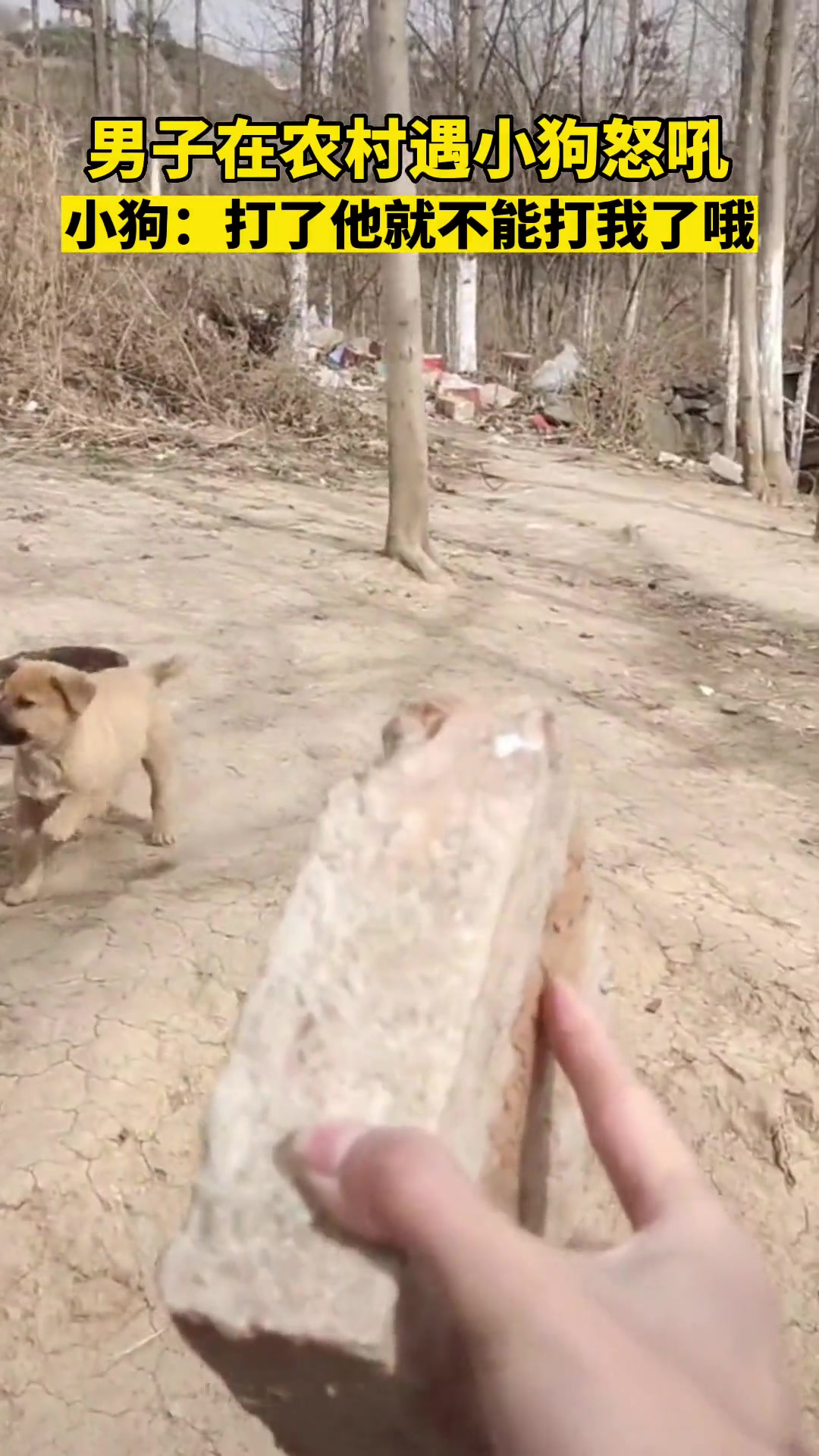 打了他就不能打我了哦！