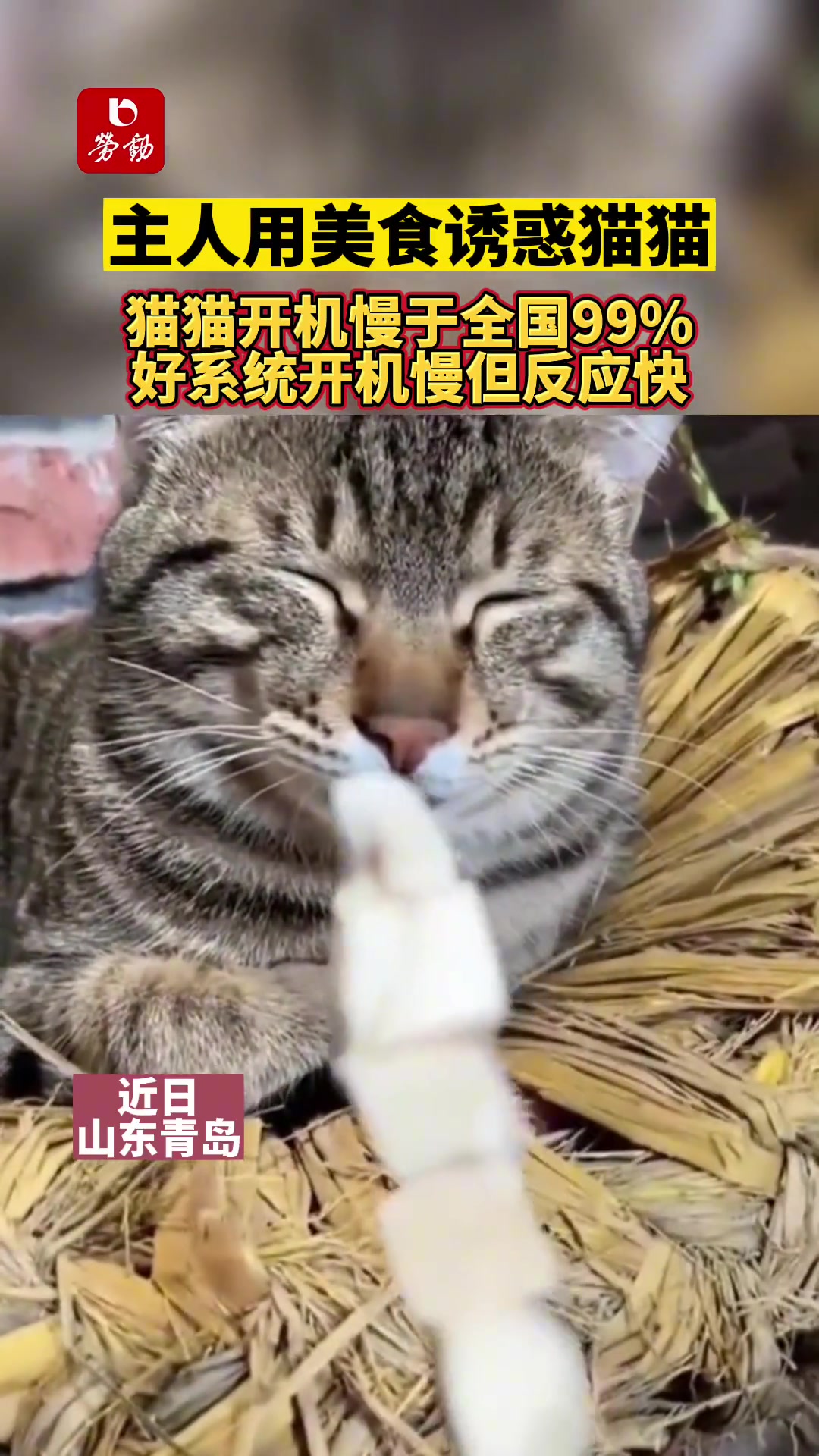 说他慢吧其实也挺快的！