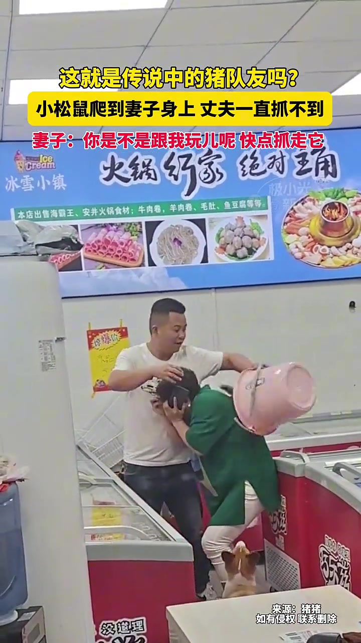抱头鼠窜指的是：一个抱头，一个鼠窜