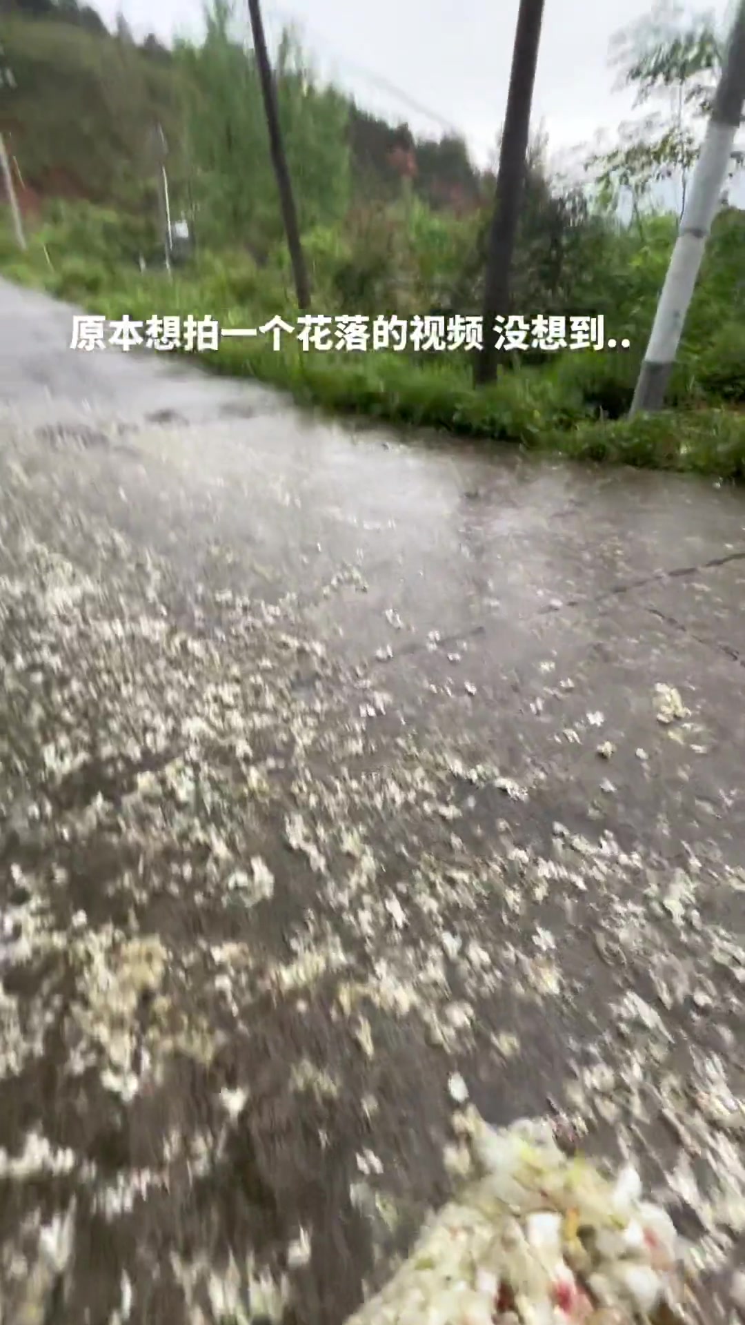 猜到开头没料到结尾
