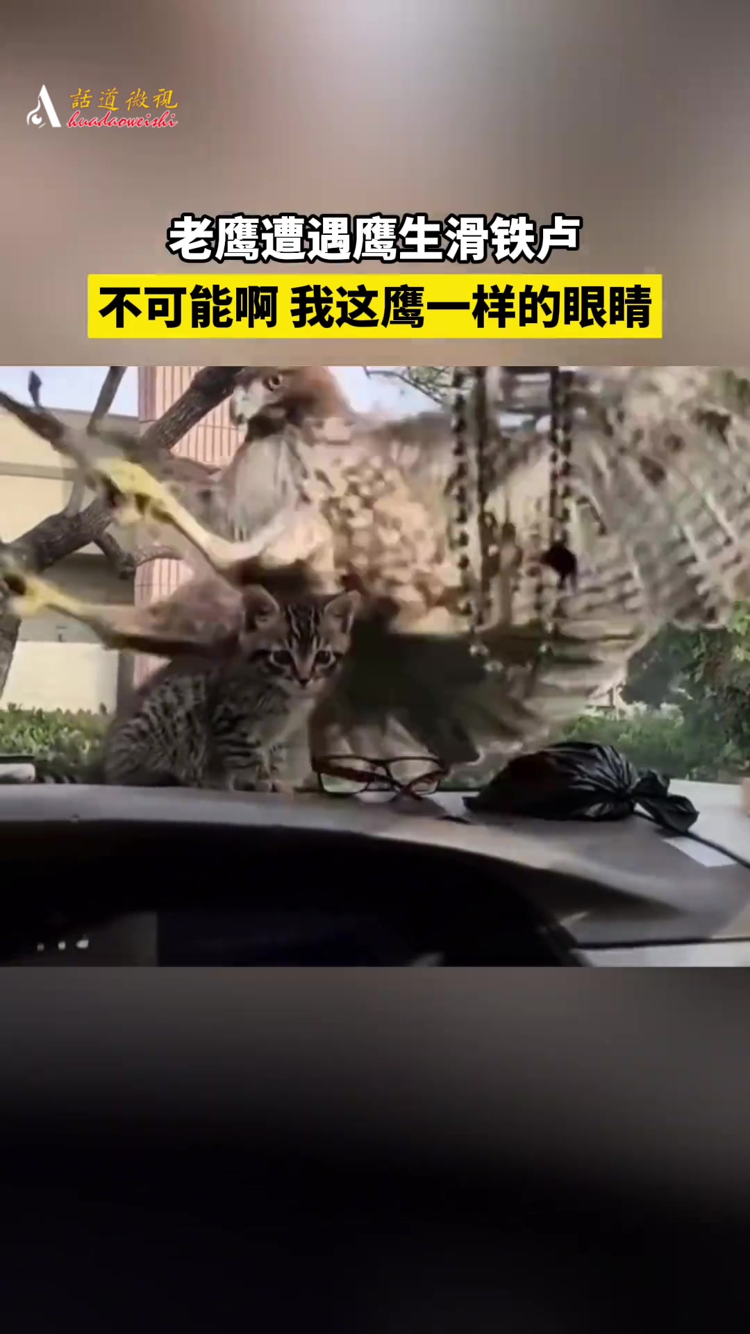 明明我的眼睛就是尺！怎么回事呢！