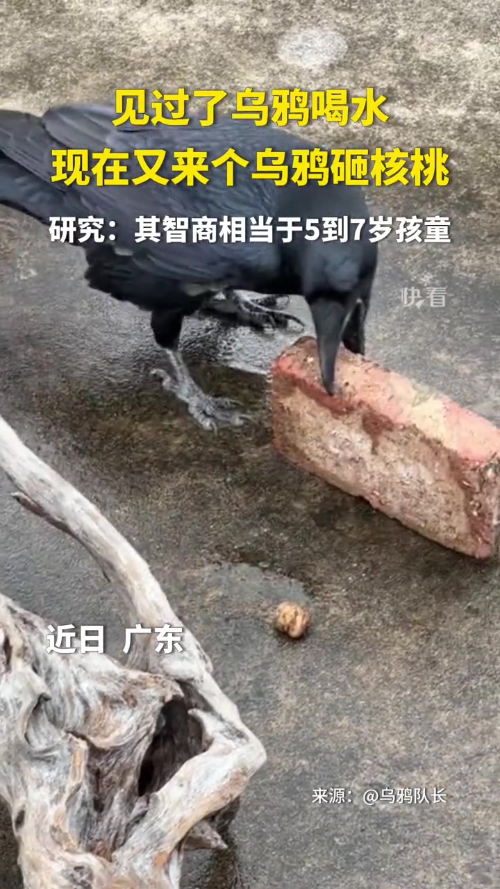 会不会使用工具，是人和动物的根本区别！