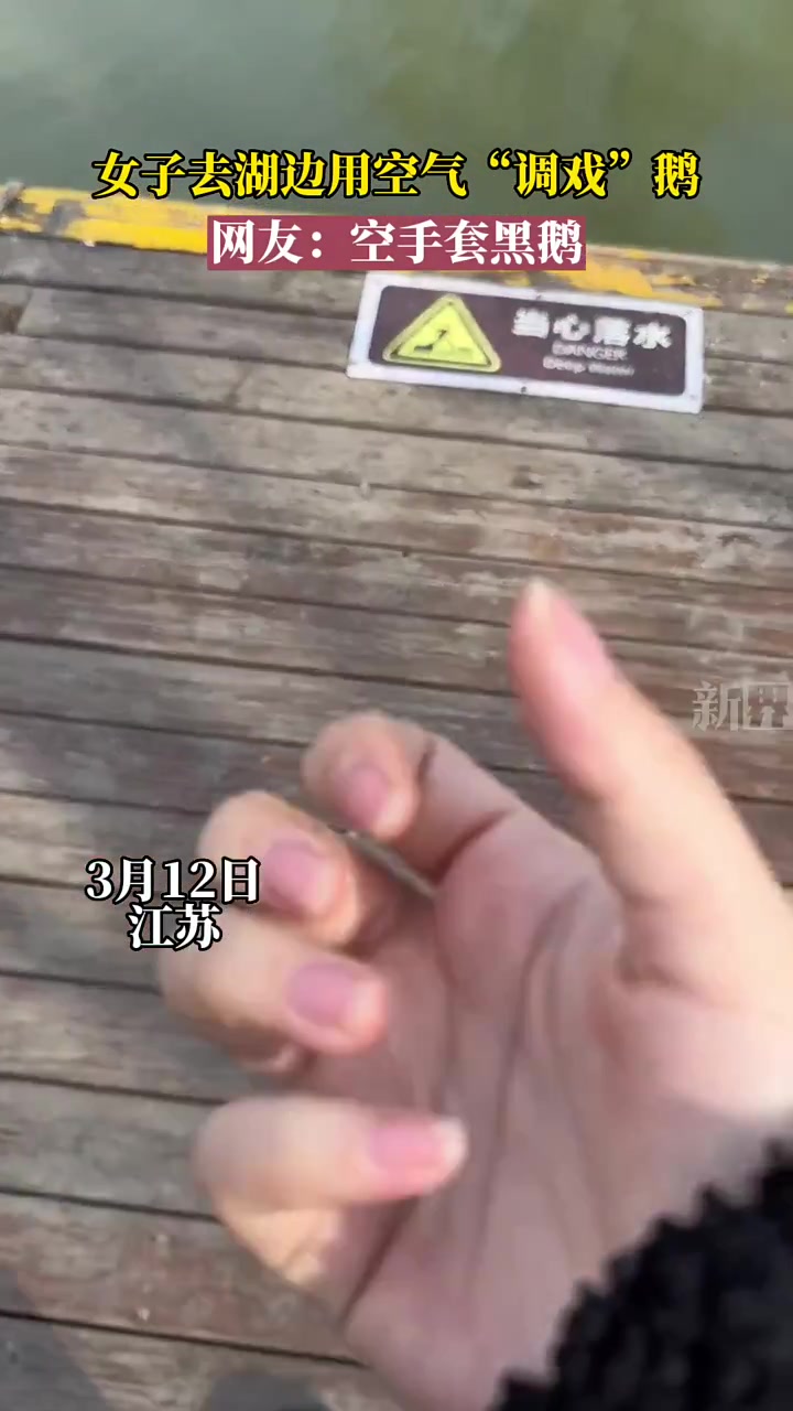 空手套黑鹅！气到打鸣！