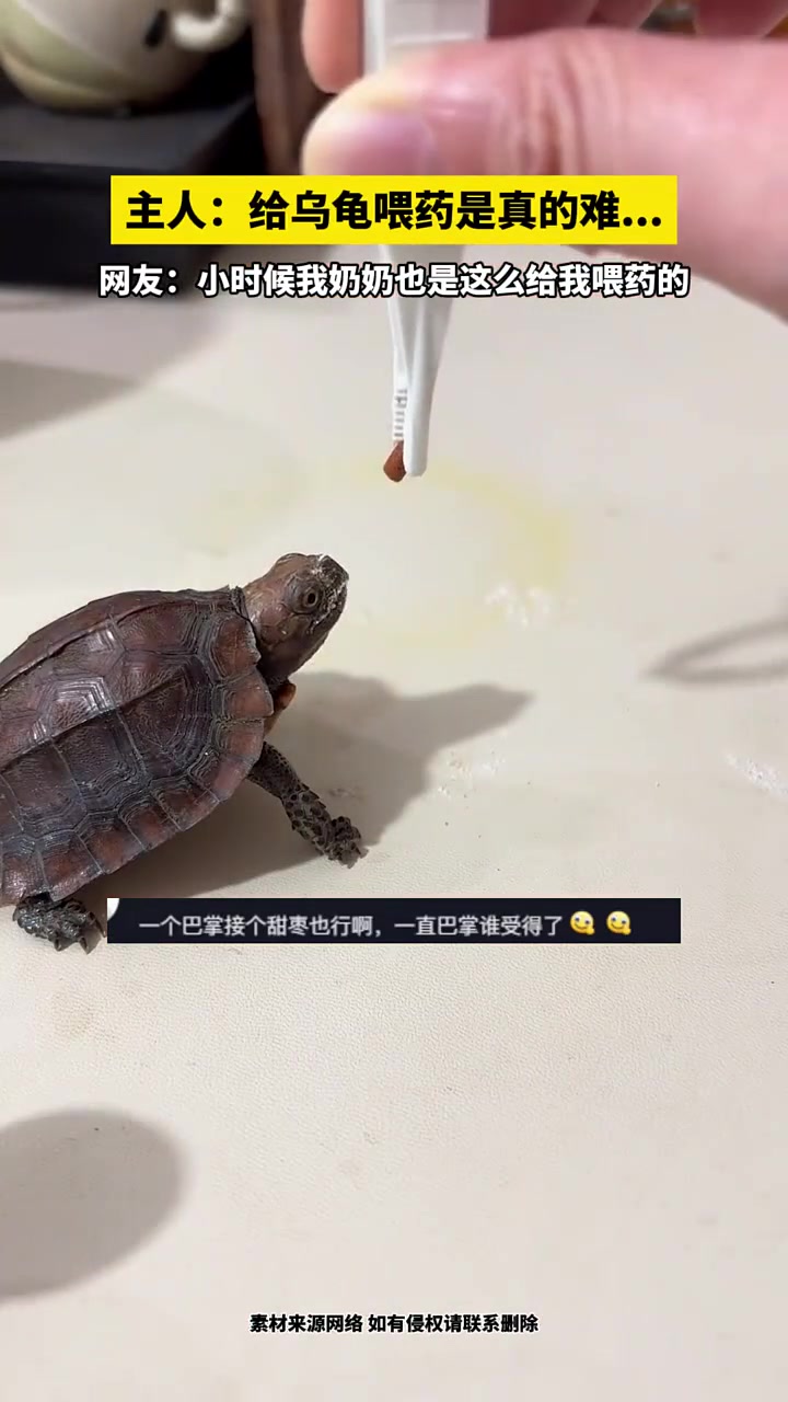 小时候我奶也是这么骗我吃药的！