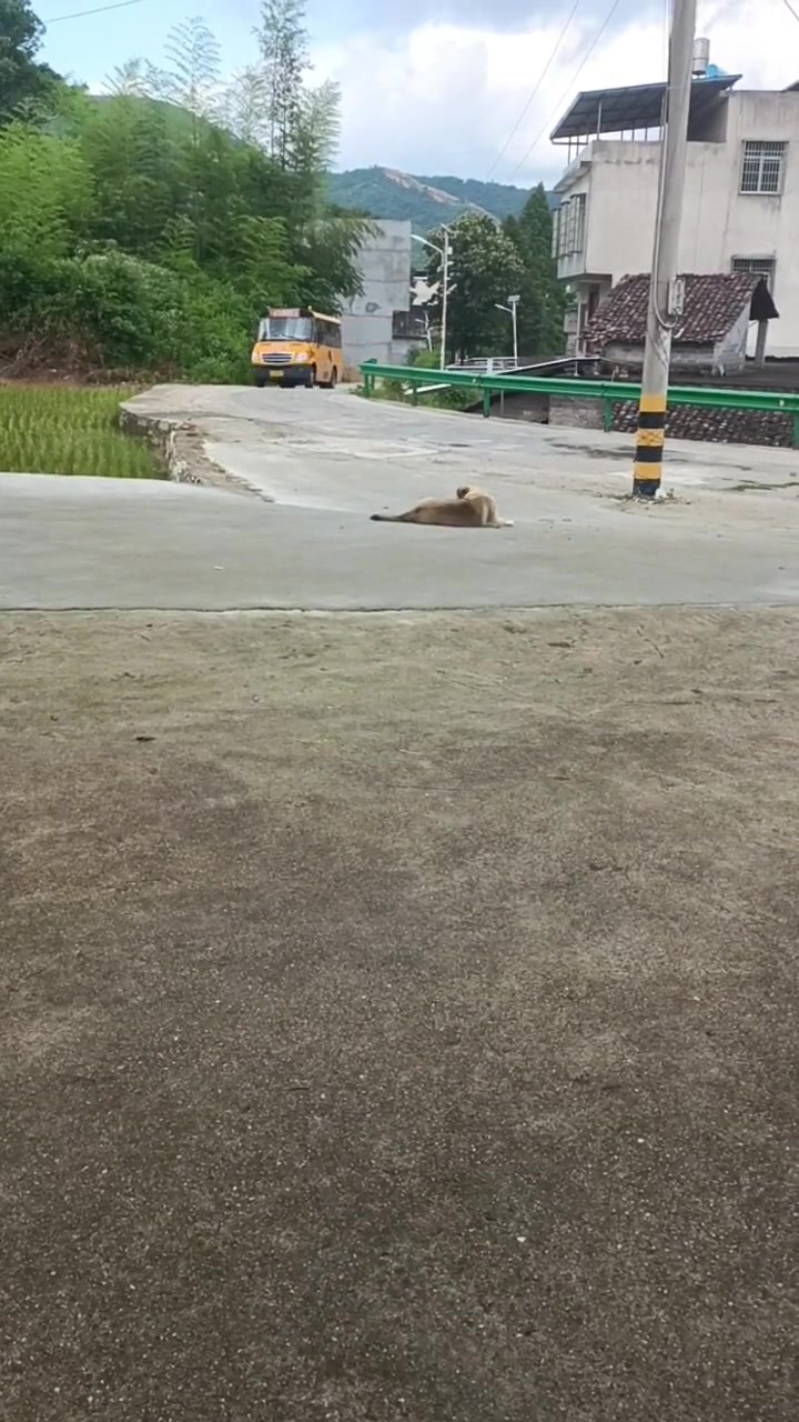 为什么过去几辆车，它能分别出来是哪一辆？