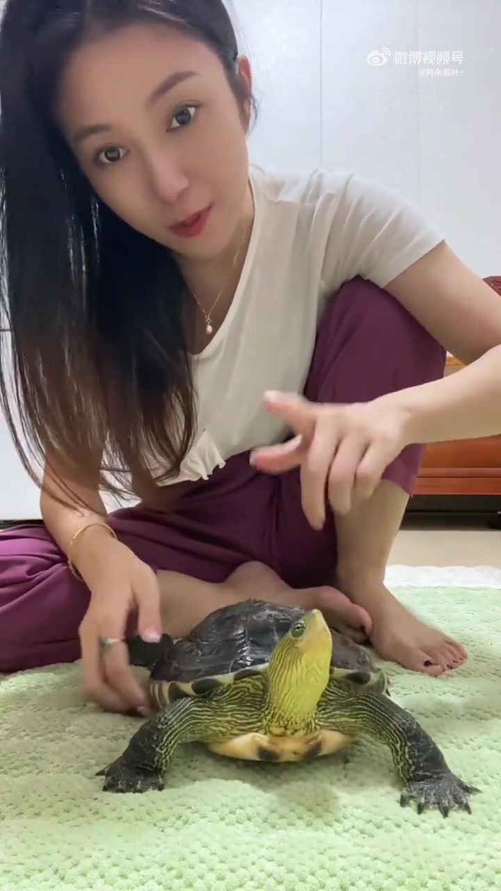 怎么连乌龟都会听得懂人话啊
