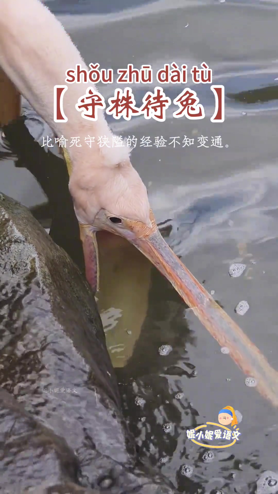 这倒是挺形象的哈~