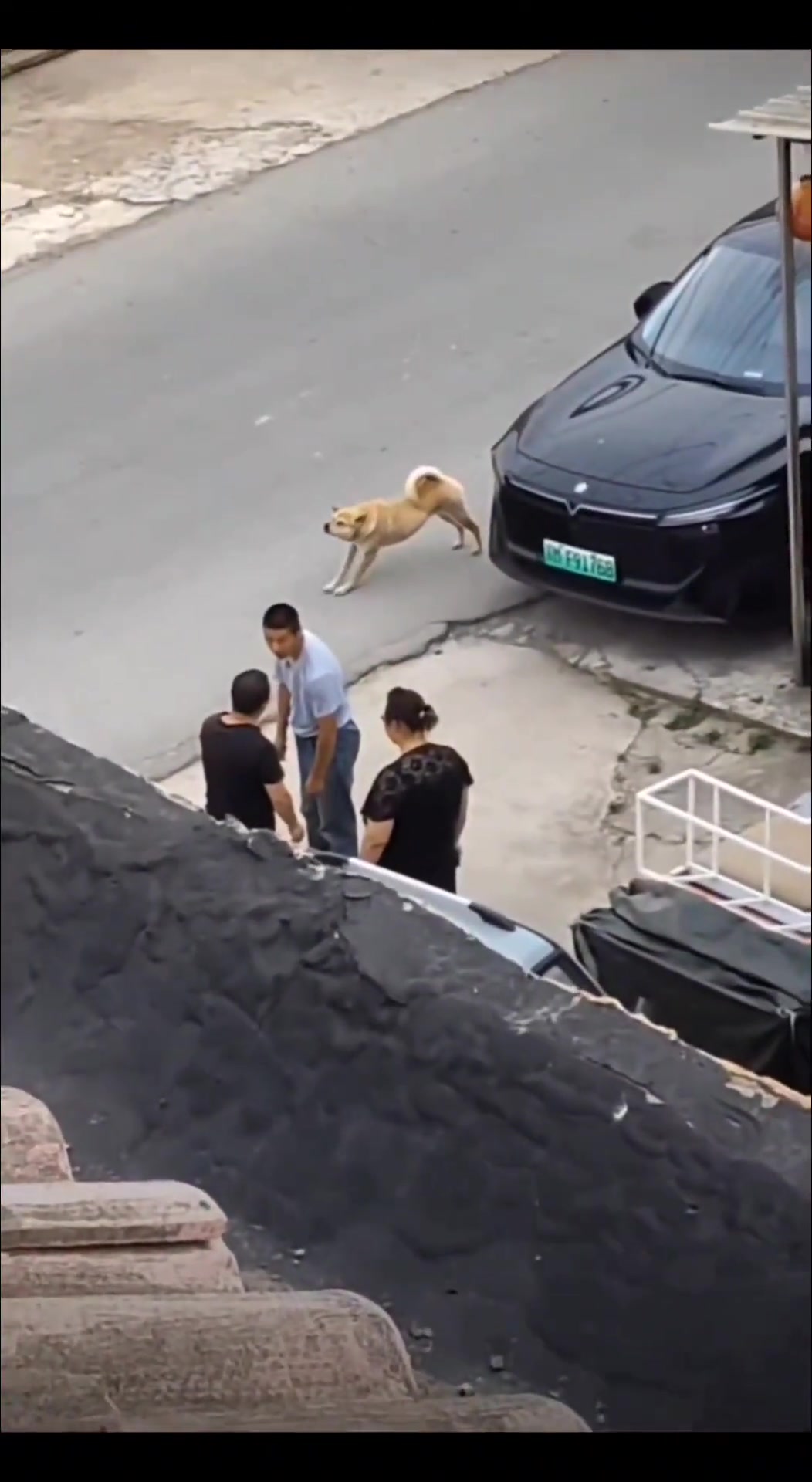 狗：这巴掌差点打到我身上了，还好跑得快