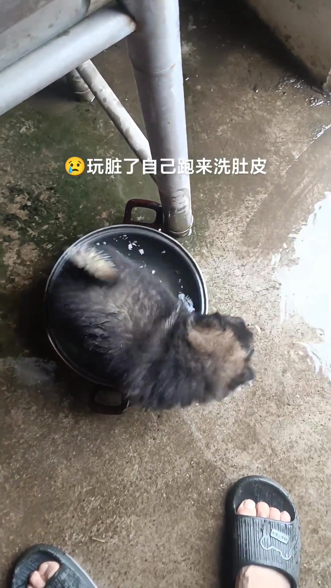我会自己洗肚皮啦！