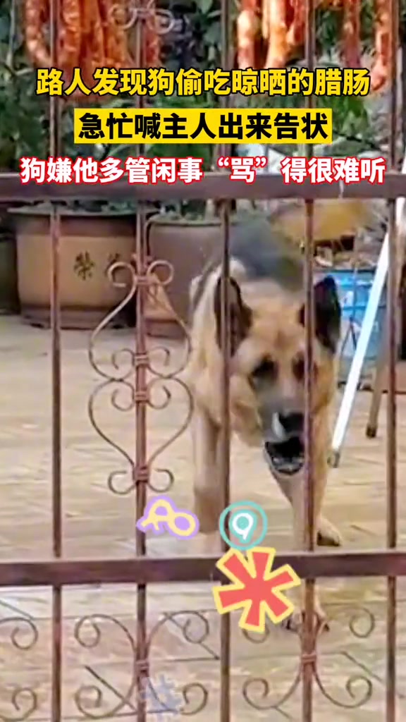 听的出来他骂的很难听！