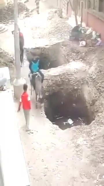 告诉你什么叫真正的“借坡下驴”