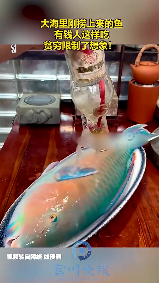 海里刚捞上来的鱼，内脏都不去直接上酒烧