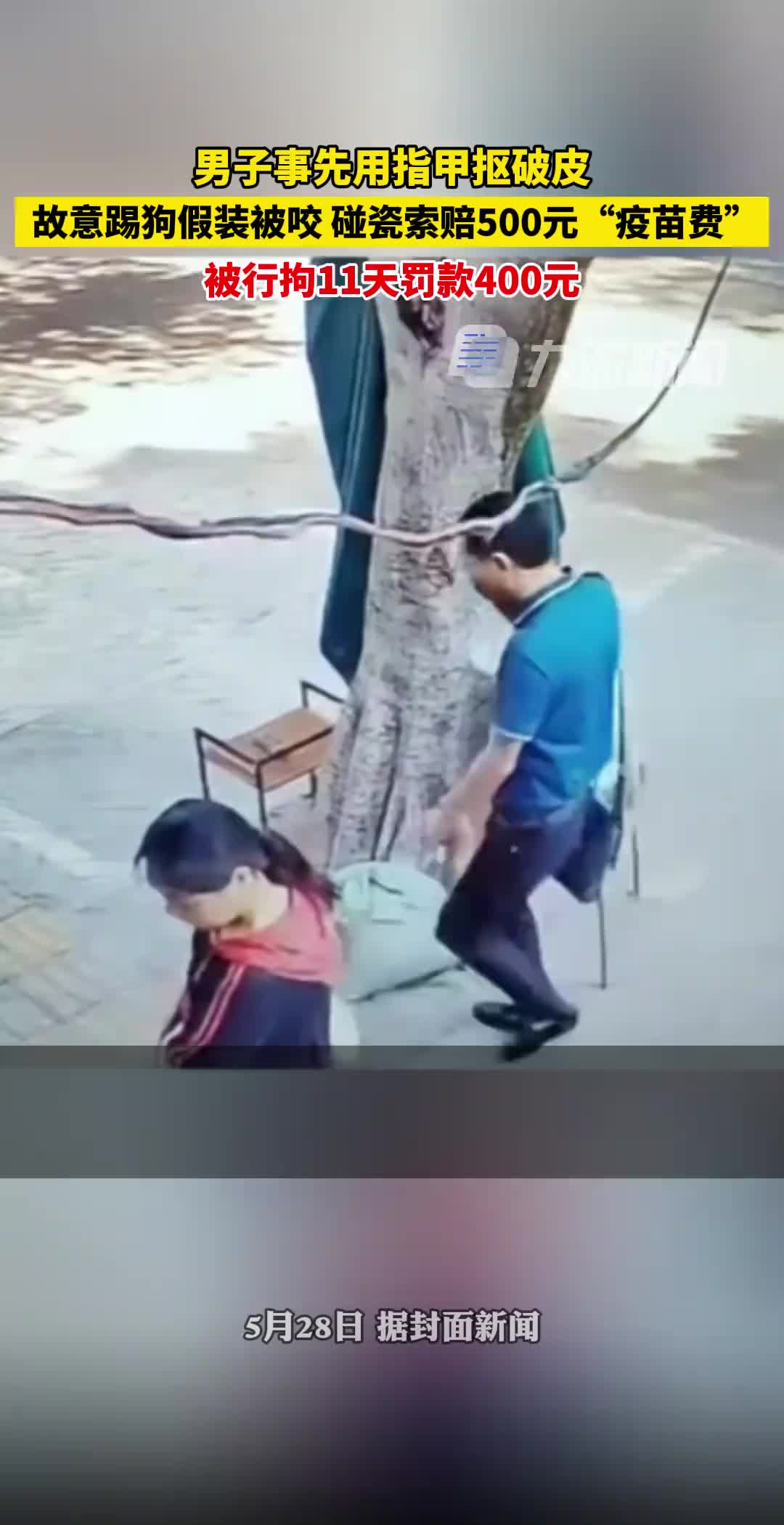 男子故意踢狗假装被咬碰瓷，偷鸡不成蚀把米！