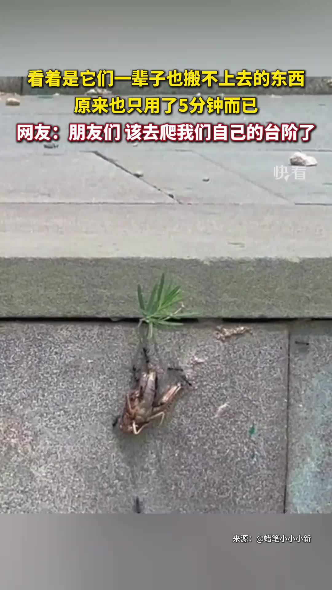 看着搬不上去的东西，原来也只用了5分钟而已！