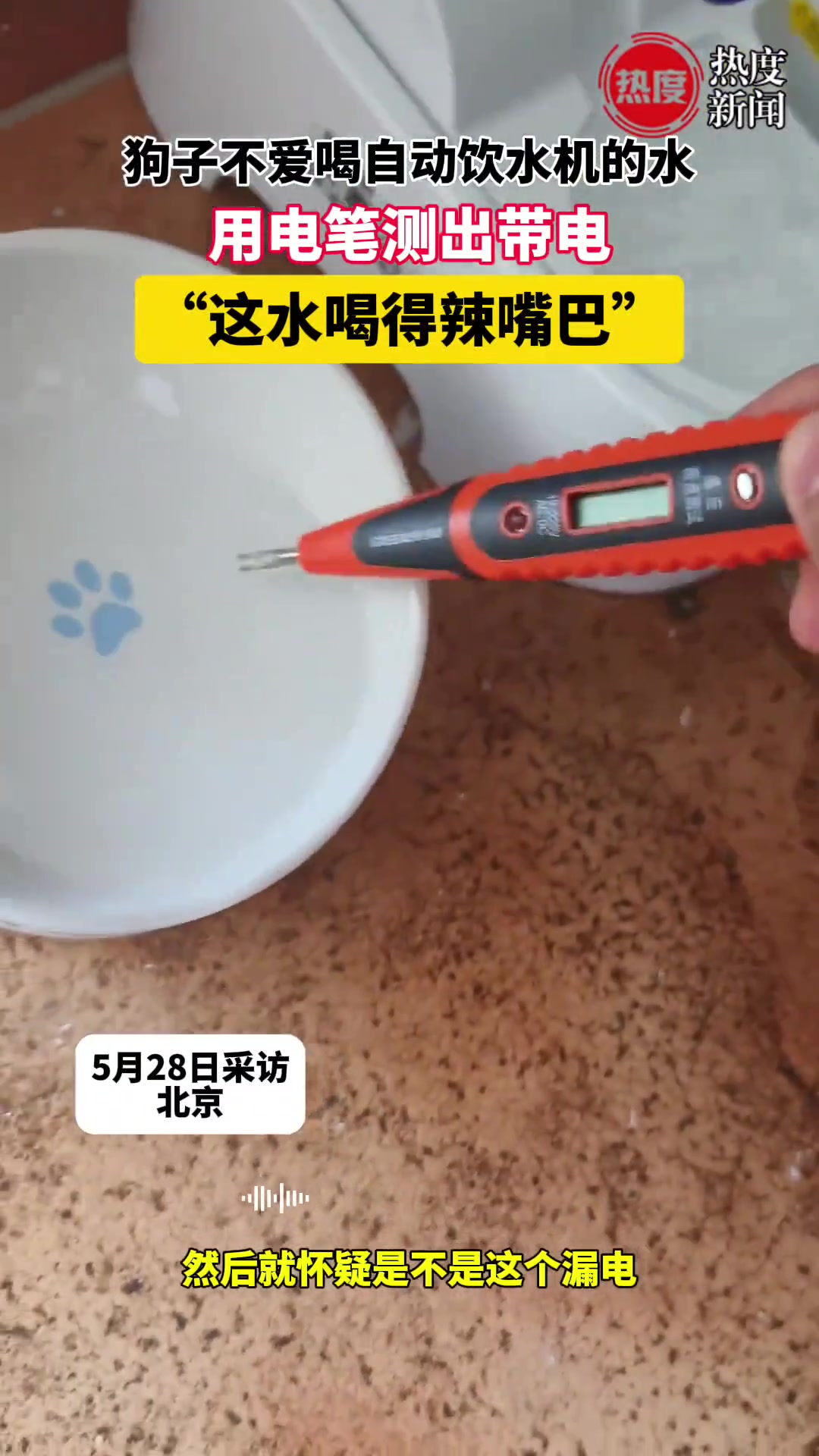 狗子不爱喝自动饮水机的水，用户电笔测这水喝得辣嘴巴