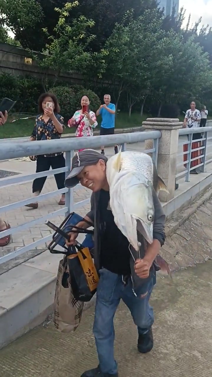 这鱼可以吹一辈子了