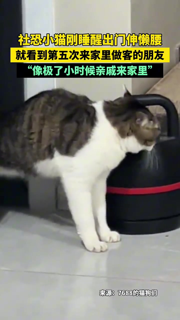 退档 油门踩到底