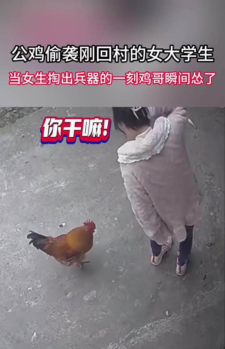 鸡 :年轻人开开玩笑怎么还玩不起了