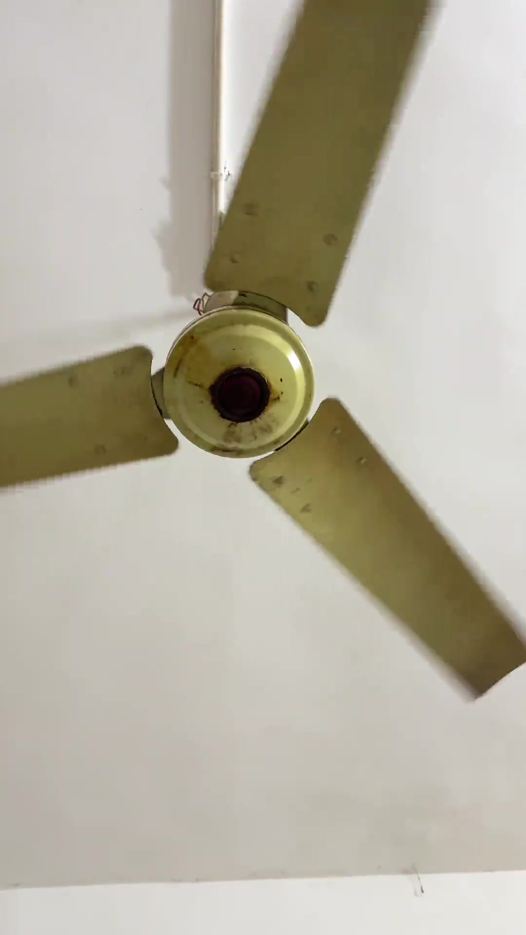 昨天租的房子，想吹会风扇太费劲了