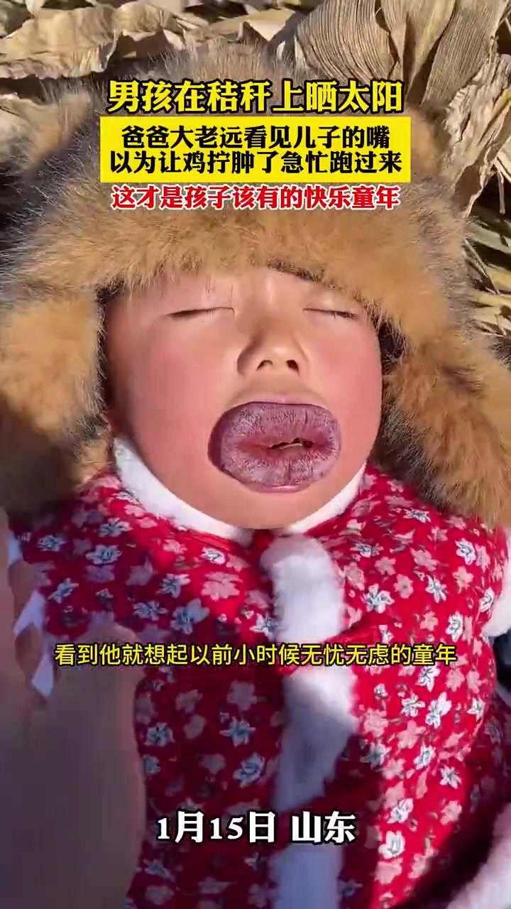 你柿不柿有饼啊