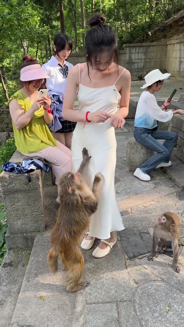 猴子挺听话呀，没有乱扒拉小姐姐的衣服
