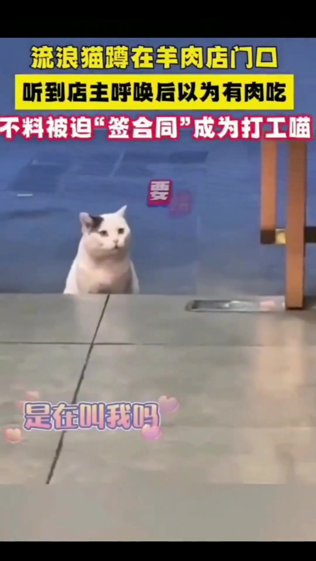 这就是没下反诈app的后果