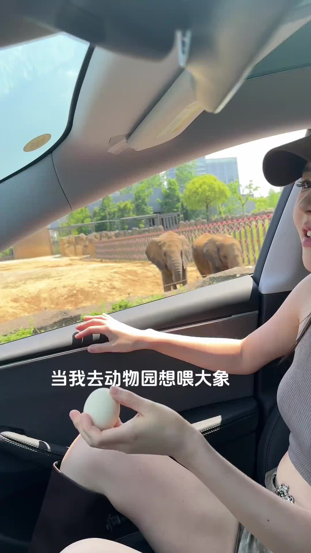 认真的吗？妹妹这都丢不出去啊