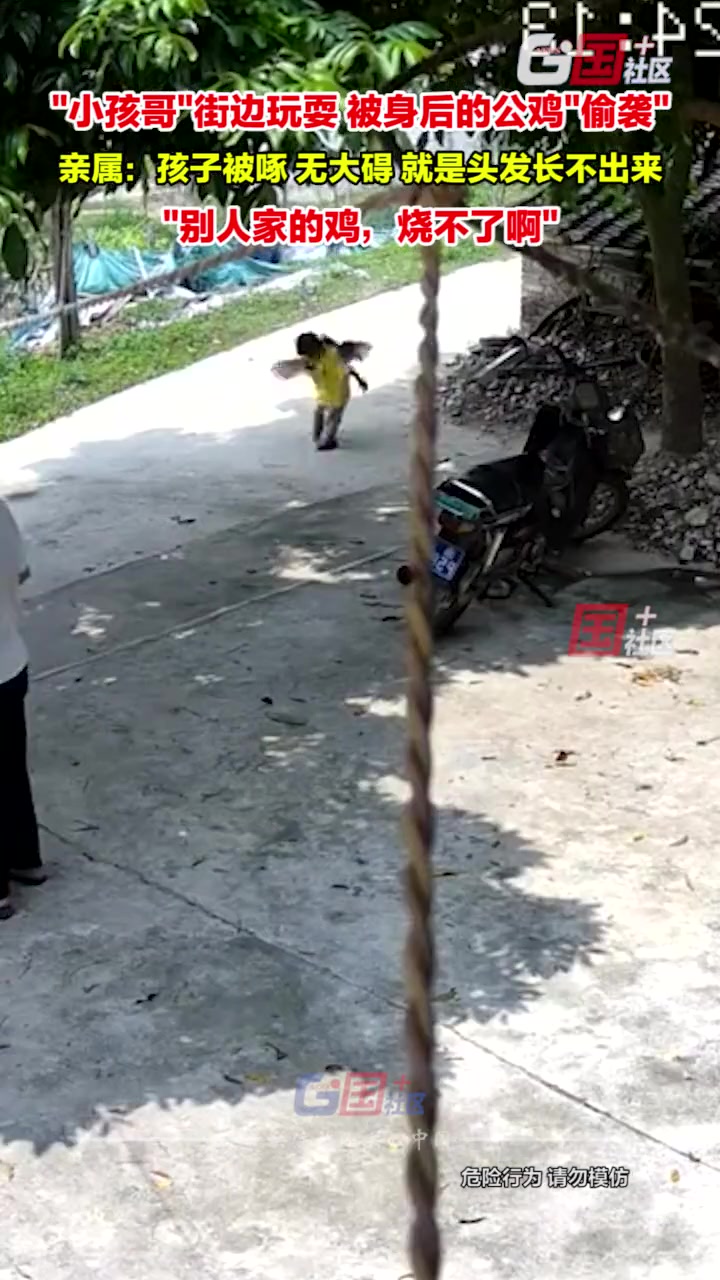 起锅烧油！“小孩哥”街边玩耍被身后的公鸡成功“偷袭”