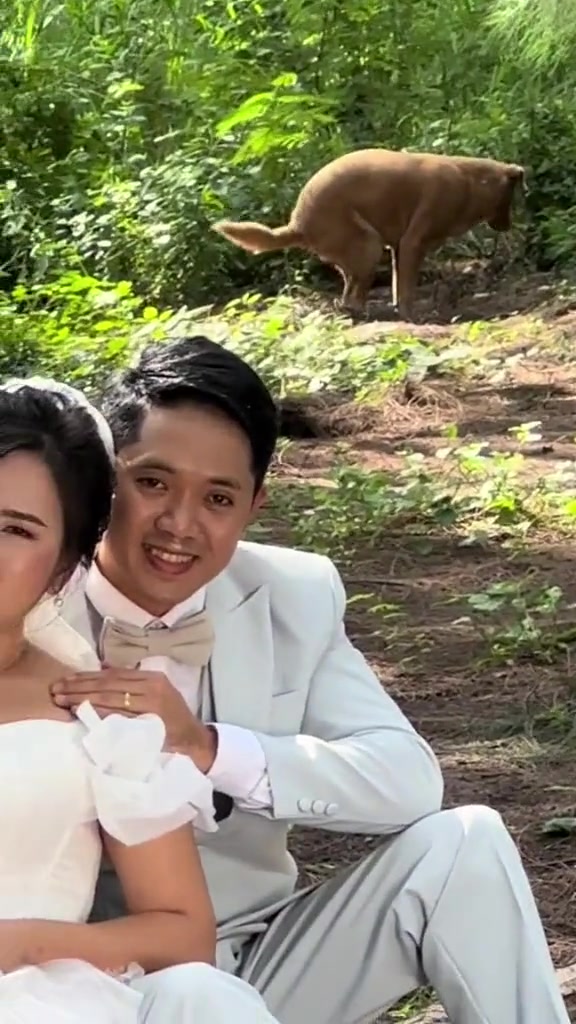 新婚夫妇拍婚纱照，后面狗子实力抢镜