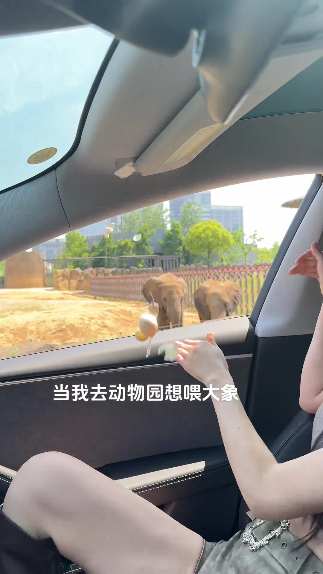 开车带老婆 去喂大象，我真要谢谢她！