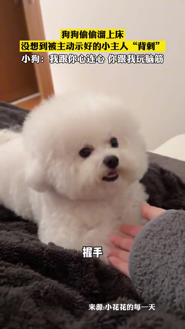 这是人变的吧！
