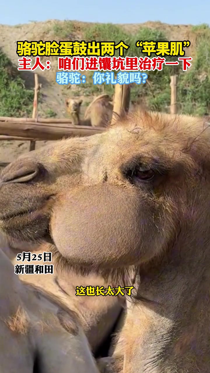 怎么，是我的苹果肌长、睫毛不够动人吗？