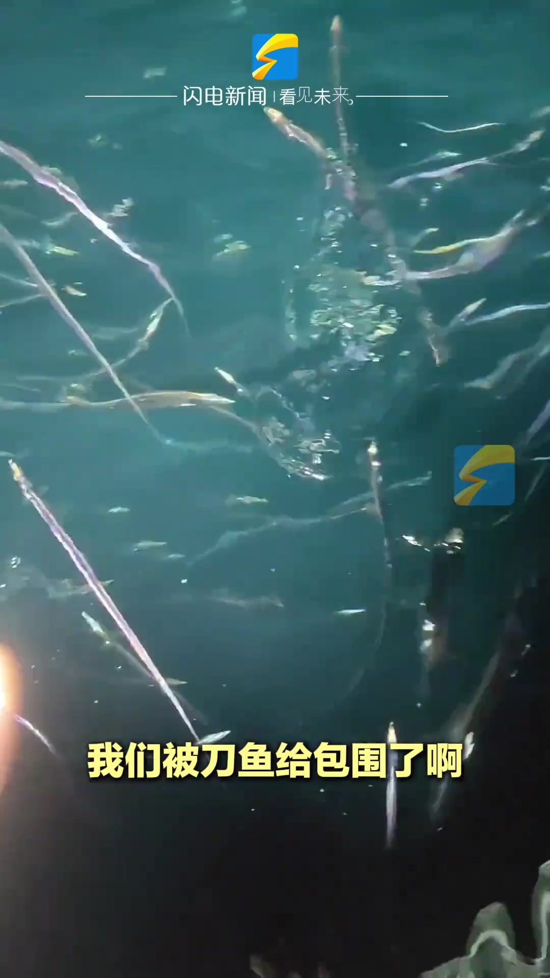 男子海钓被上万条刀鱼包围，六十岁老船长称第一次见到