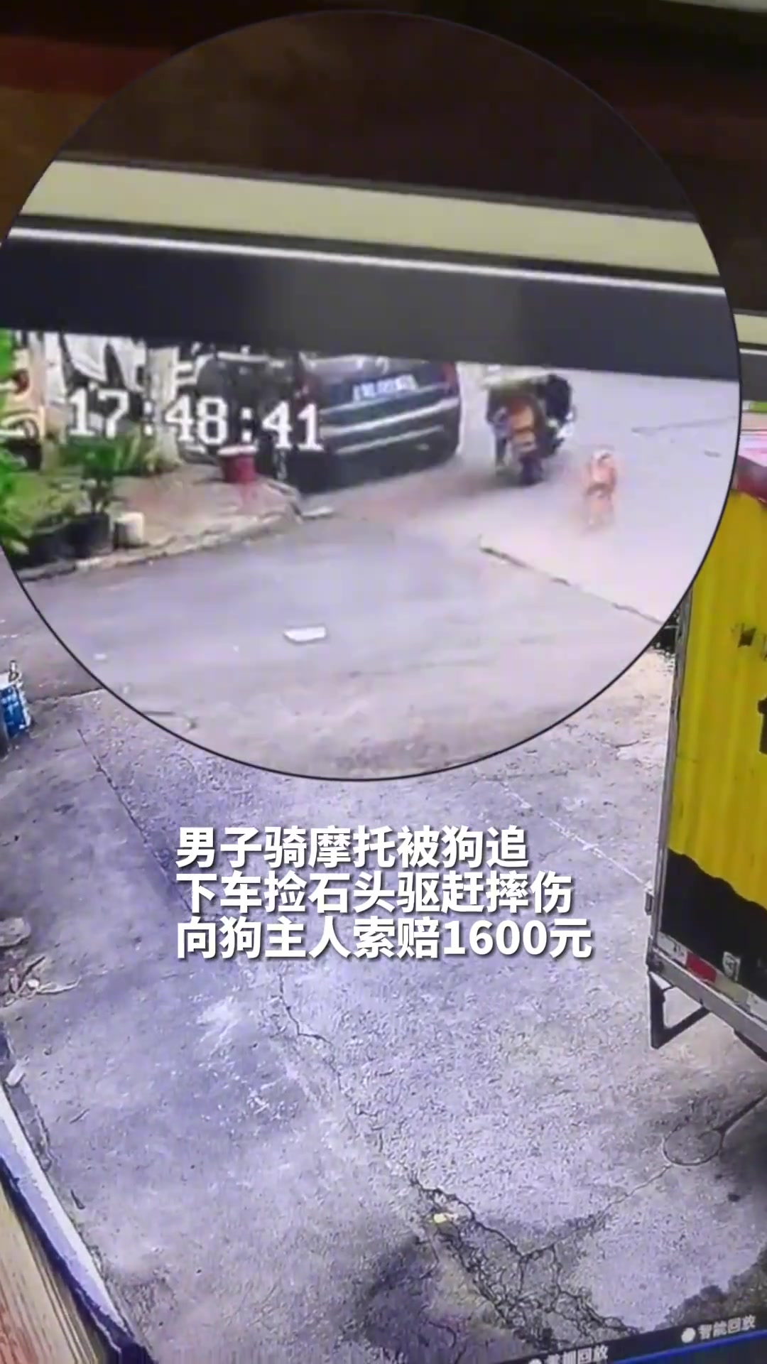 男子骑摩托被狗追，下车捡石头驱赶摔伤向狗主人索赔！