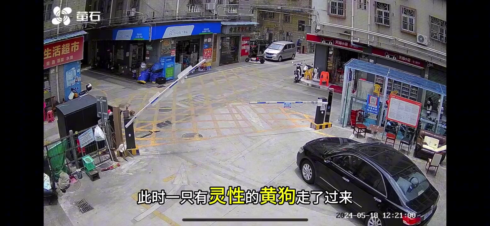 为什么狗也可以开停车场的倒闸啊？