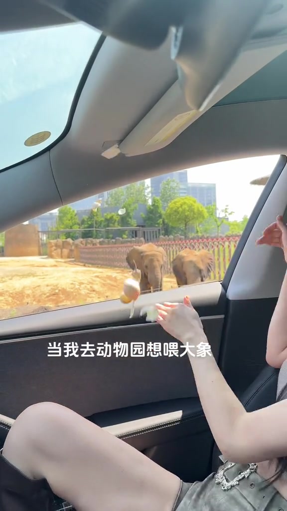 智商有但不多 给车吃上了鸡蛋