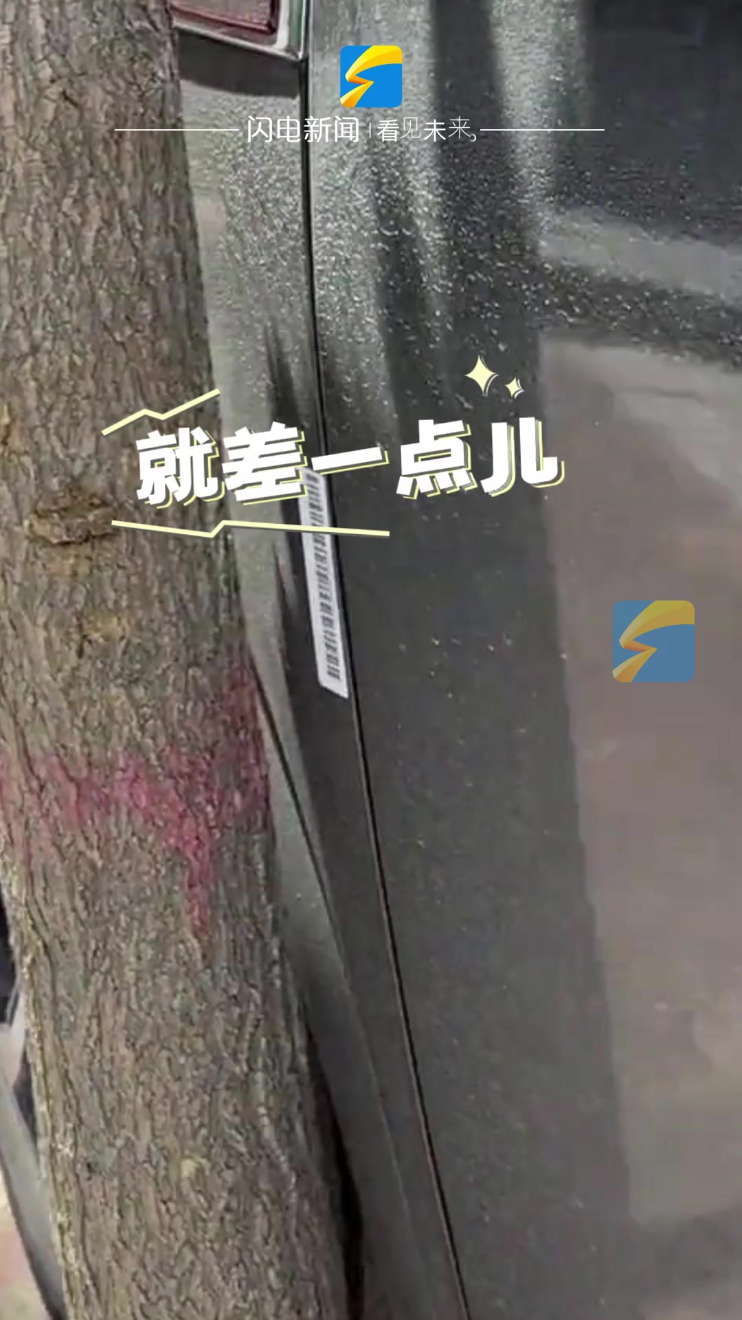 女子停车还有一厘米蹭到树 好姐妹合力扒树让她倒车