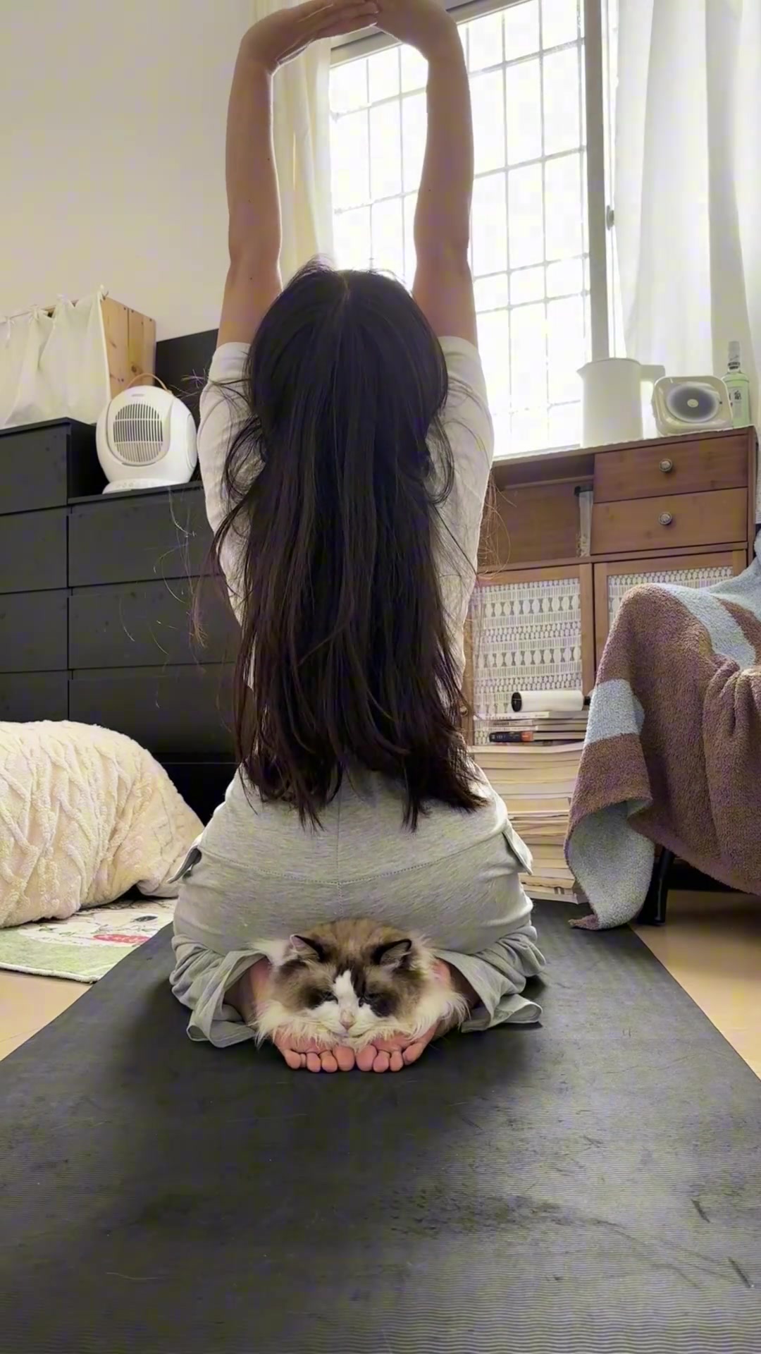 真怕猫咪被屁给蹦到