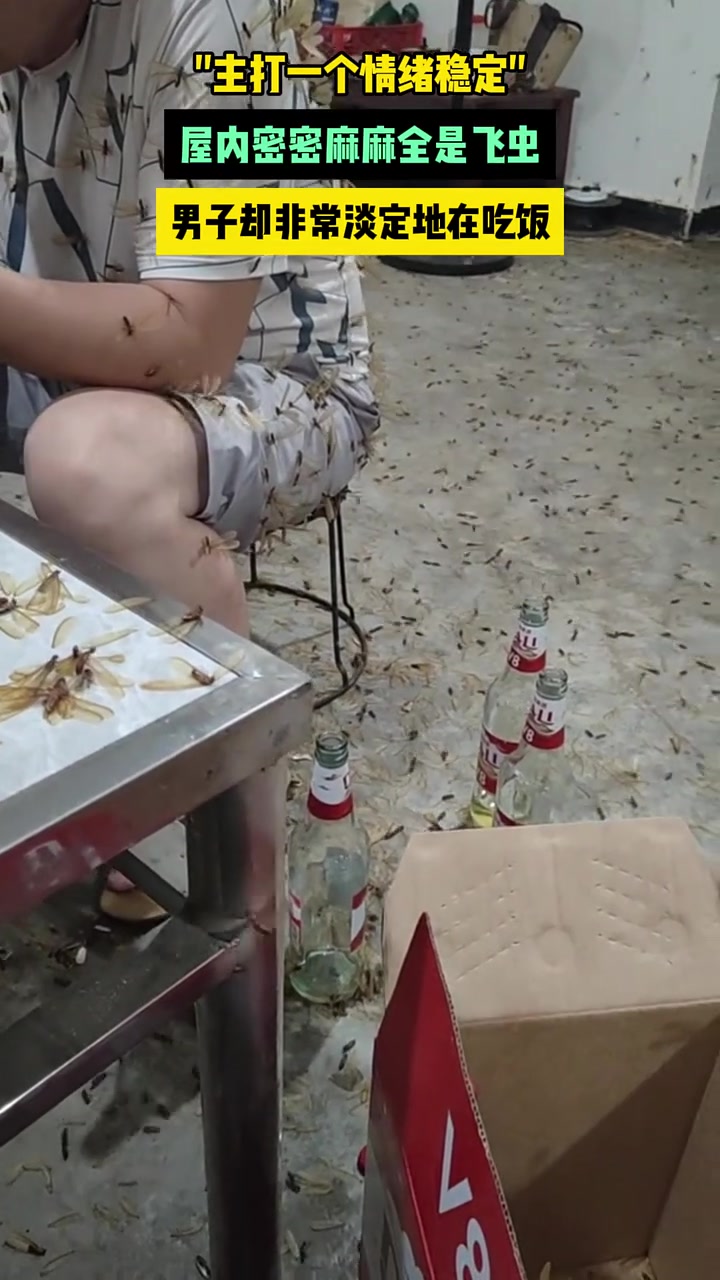 这环境还能这么淡定，真是虎啊