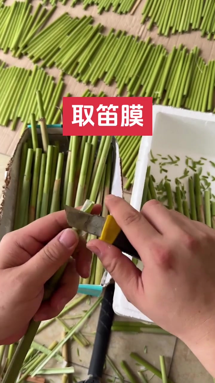 取笛膜过程