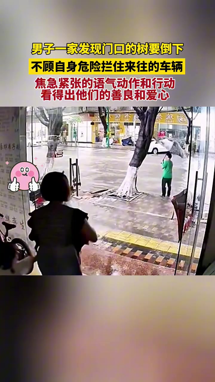 男子家发现门口的树要倒下，不顾自身危险拦住来往车辆