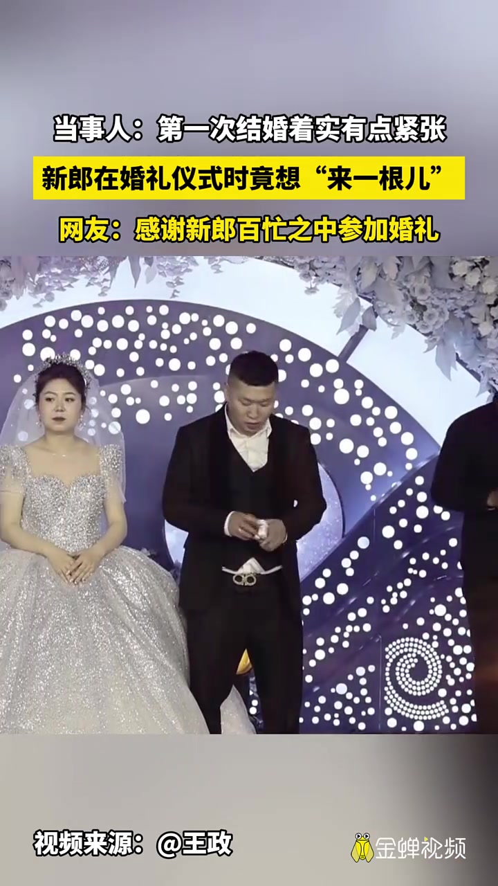 这，，来个会说的
