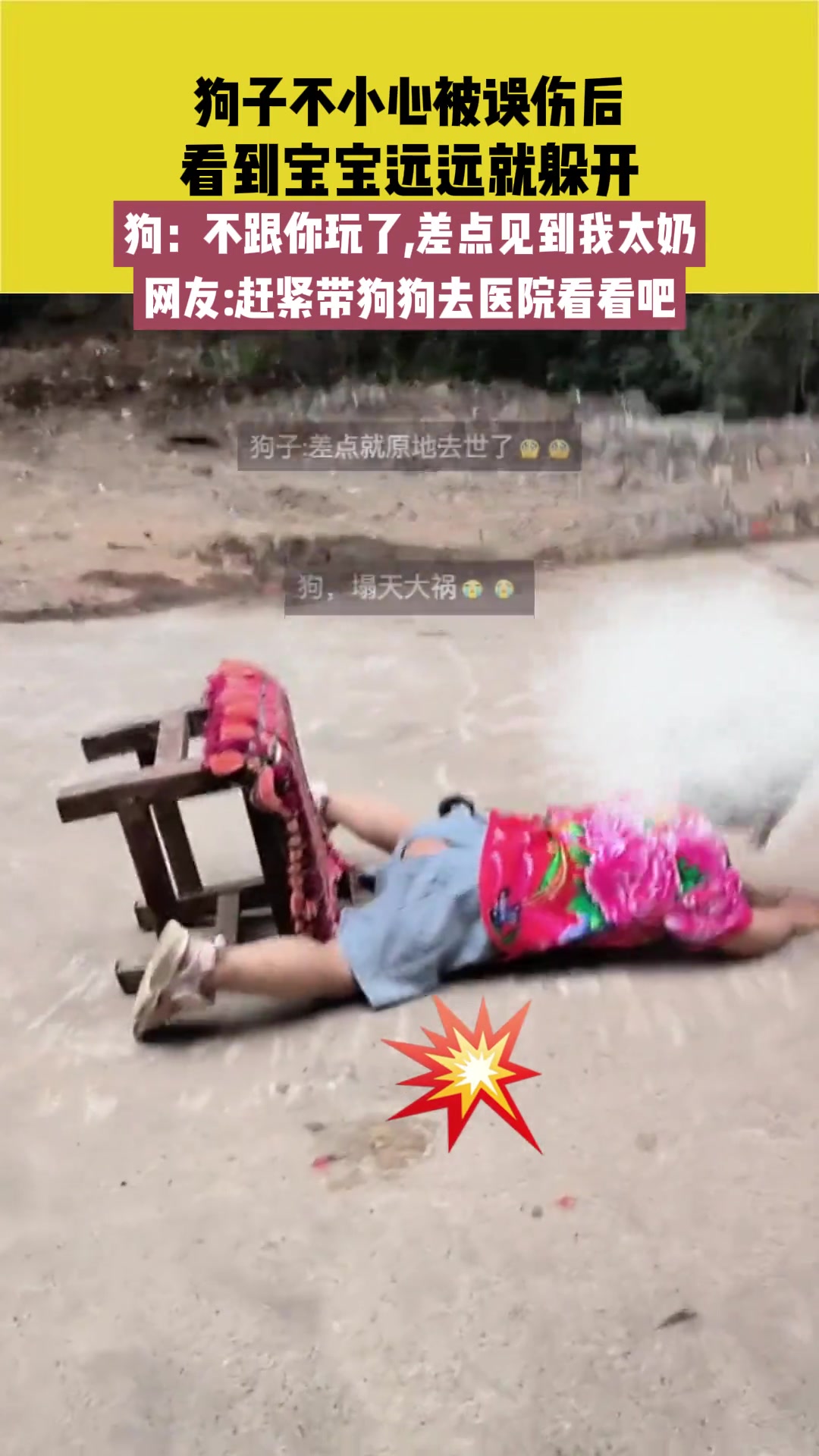 狗子不小心被孩儿误撞，后看到孩子就自然而然躲开！