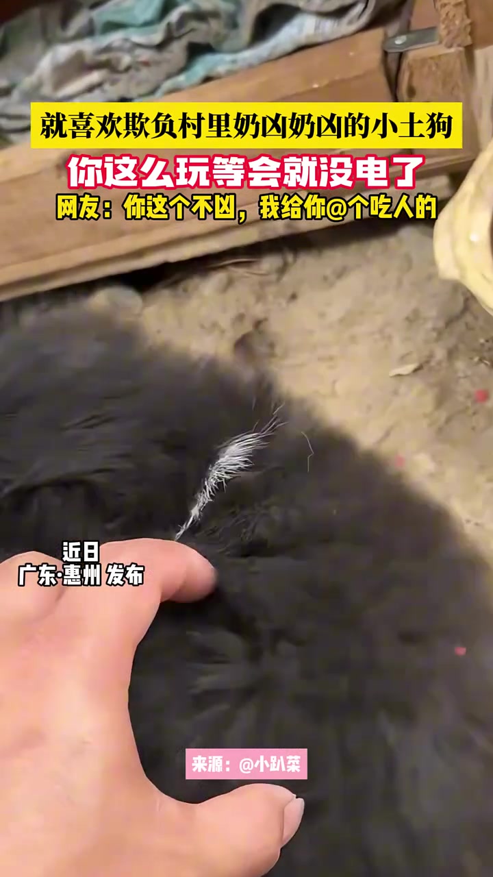 给我玩玩！别玩没电了！