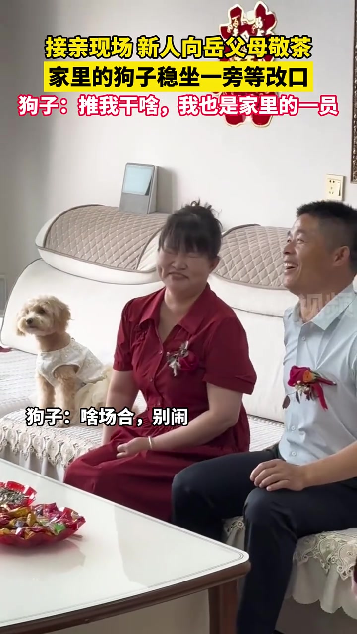 新人向岳父母敬茶，家里的狗子坐一旁等改口！